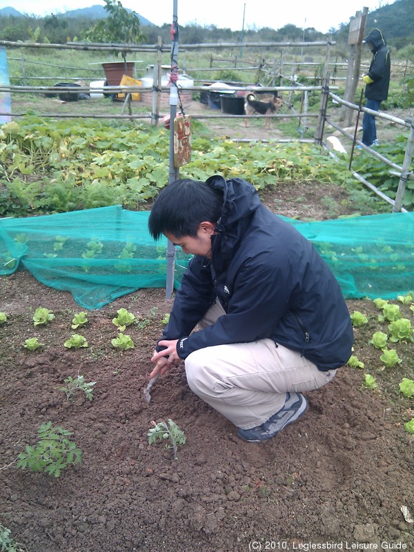 20100215Farm Visit34.jpg